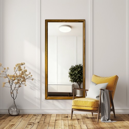 Zrcadlo v ozdobném rámu -...